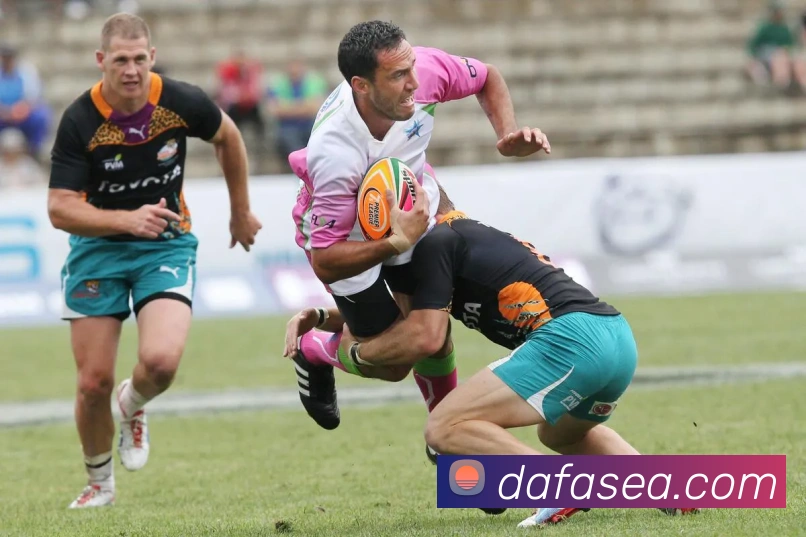 大发官网发展历程